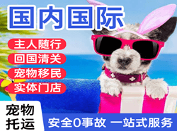 陇南成县机场邮寄国际宠物托运 【国